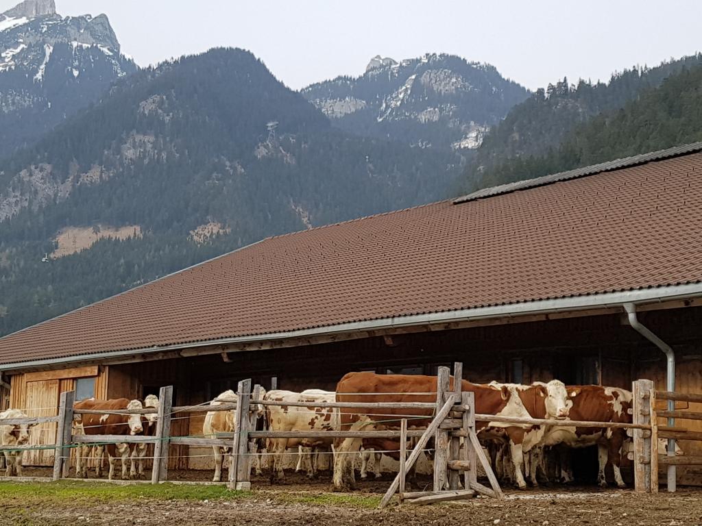 Haidacherhof Eben am Achensee 외부 사진